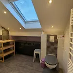 Spacieux Avec Sauna, Et Baby-foot, Proche Stations De - Fr-1-589-671 Holiday home Ramonchamp