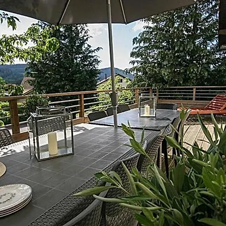 Spacieux Avec Sauna, Et Baby-foot, Proche Stations De - Fr-1-589-671 Ramonchamp