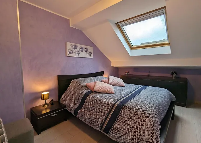 Spacieux Avec Sauna, Et Baby-foot, Proche Stations De - Fr-1-589-671 *